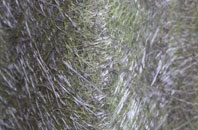 Trebullett fibreglass roof work